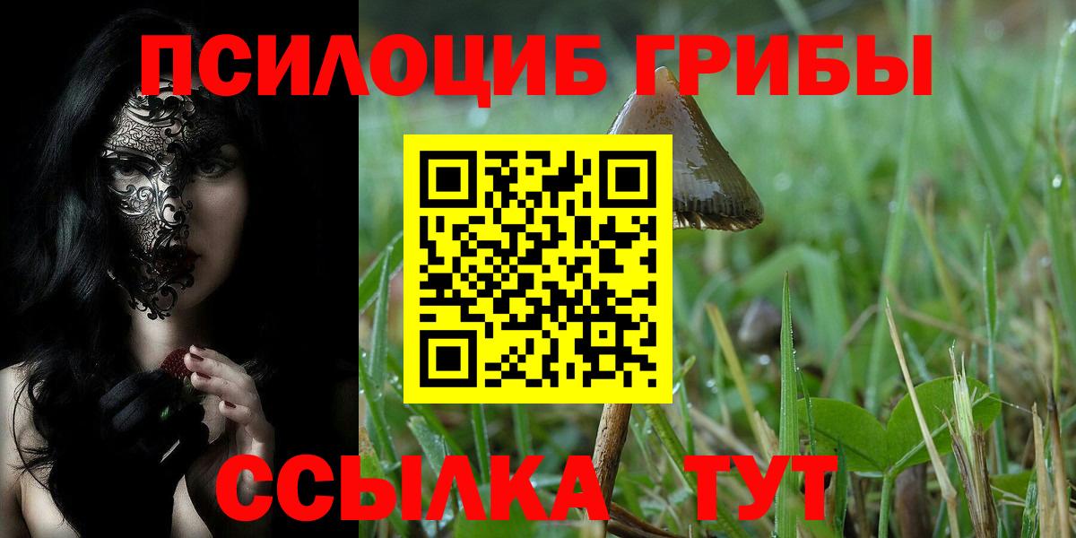 что такое   Галлюциногенные грибы мицелий  Вход с VPN  Чусовой 